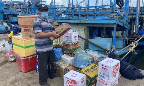 Ngư dân Bình Định ra khơi chuyến biển cuối năm