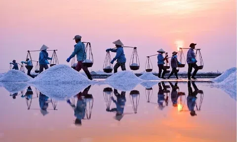 Gắn kết sản xuất để thu hút đầu tư vào ngành muối