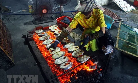 Nghệ An: Nhu cầu cá thu nướng dịp tết tăng cao