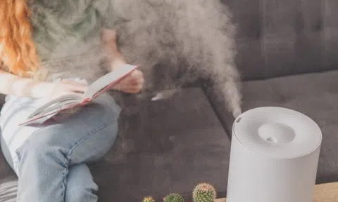 5 lý do để bạn tậu ngay máy tạo độ ẩm vào mùa đông