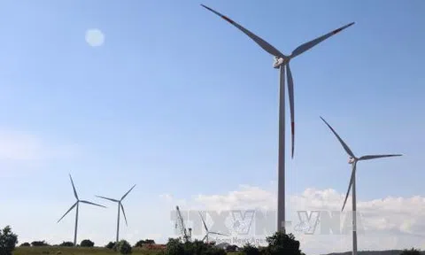 Cuba nghiên cứu tiềm năng điện gió