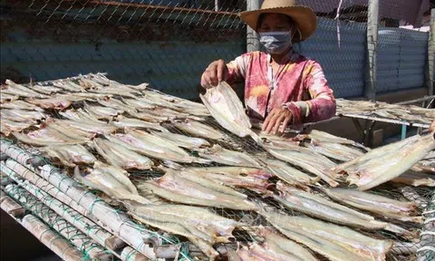 Chế biến cá khô tại Bến Tre nhộn nhịp vào vụ tết