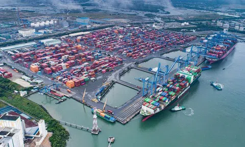 Tháng 1/2022, hơn 60 triệu tấn hàng hóa qua cảng biển