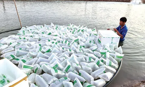 Đảm bảo nhu cầu tôm giống chất lượng cho vụ nuôi năm 2022