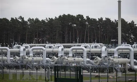 Đức hối thúc các nước cẩn trọng khi xem xét các biện pháp trừng phạt Nga