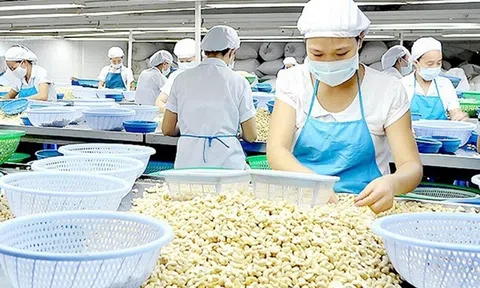 Trên 57 tỷ đồng triển khai các đề án khuyến công