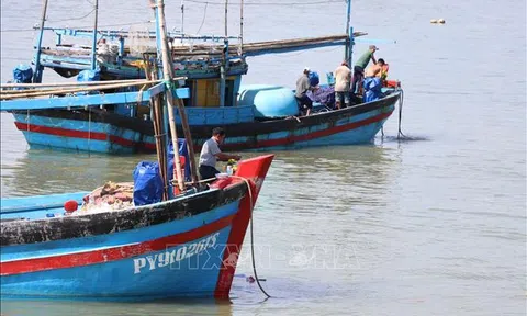 Ngư dân Khánh Hòa kỳ vọng chuyến biển xuyên Tết