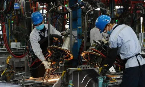 Doanh nghiệp châu Âu lạc quan về môi trường thương mại, đầu tư tại Việt Nam