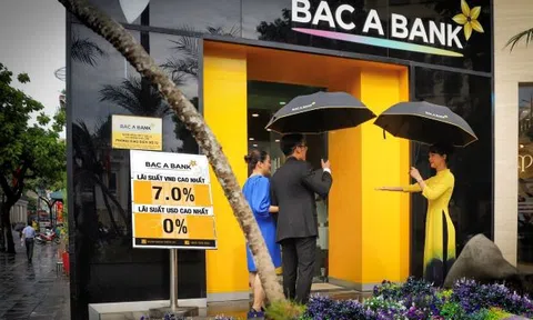 Ngân hàng thương mại cổ phần Bắc Á: Lợi nhuận giảm, nợ xấu tăng  và giá cổ phiếu nhảy múa