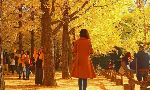 Thơ Vĩnh Quang Lê