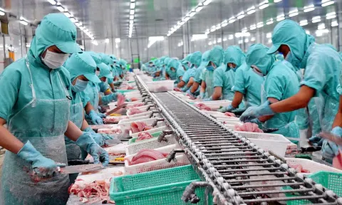 Bạc Liêu: Doanh nghiệp chế biến thủy sản thích ứng trạng thái bình thường mới