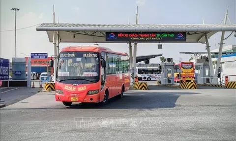 Bến xe Cần Thơ đìu hiu ngày 28 Tết