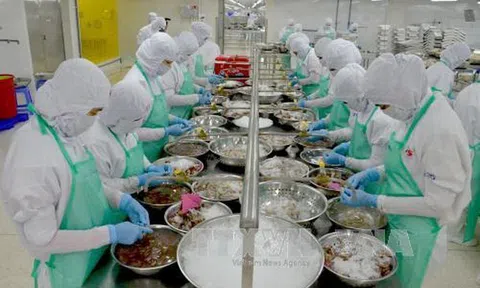 Kim ngạch xuất khẩu của Kiên Giang khởi sắc trong tháng đầu năm