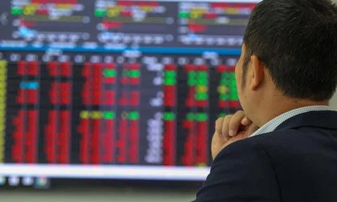 Trò chuyện với chuyên gia chứng khoán đầu năm Nhâm Dần 2022