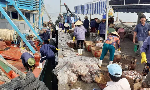 Bến Tre: Làng biển Bình Thắng tràn đầy sắc Xuân