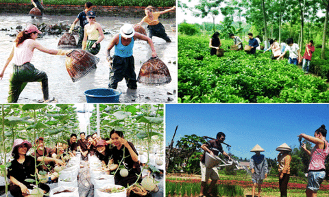 Khai thác các giá trị nông nghiệp qua gắn kết phát triển du lịch