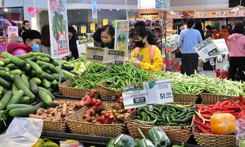 Đảm bảo nguồn cung, không khan hàng sốt giá dịp Tết Nhâm Dần