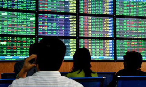 Chào năm Nhâm Dần, chứng khoán Việt Nam ngập trong sắc xanh