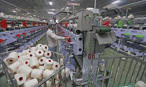 Giải pháp then chốt bảo vệ lợi ích doanh nghiệp