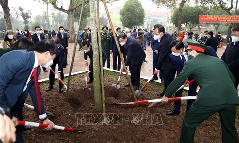 Nam Định trồng mới, bổ sung rừng phòng hộ và đặc dụng ven biển