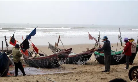 Thanh Hoá: Niềm vui ngư dân sau chuyến ra khơi đầu năm mới