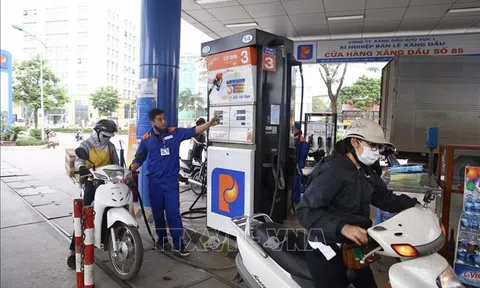 Bình Định kiểm tra đột xuất hoạt động kinh doanh xăng dầu