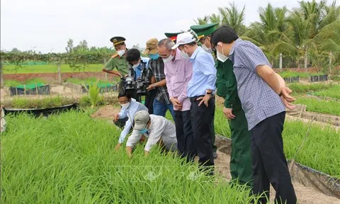 Bạc Liêu: Thay đổi ở những vùng quê nông thôn mới