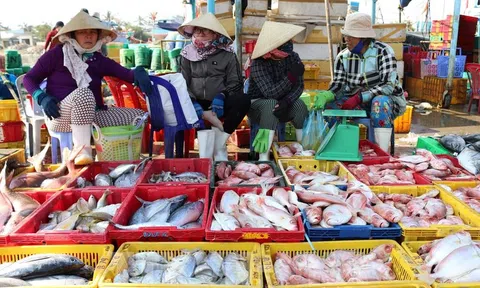 Giá nhiều loại thủy sản ở Trà Vinh tăng cao