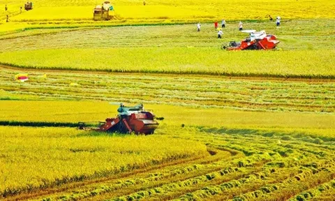 Nông nghiệp thúc đẩy sản xuất đảm bảo mục tiêu quý I