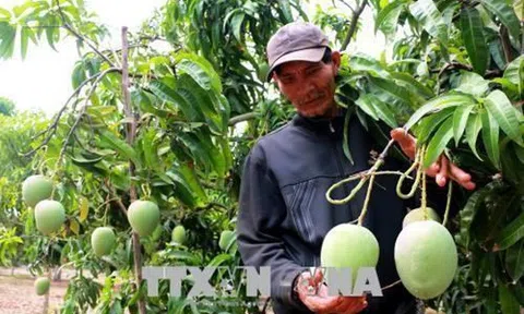 Đồng Tháp: Xây dựng được niềm tin từ “vườn tôi, nhà mình”