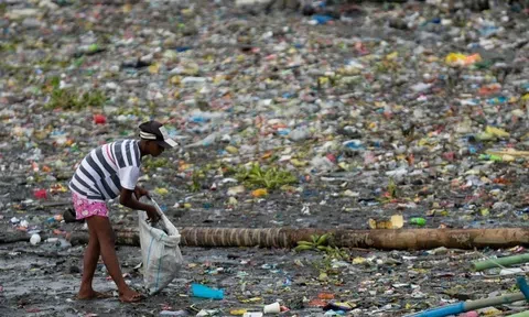 Liên hợp quốc: Nhiều ca tử vong do nhiễm chất độc hơn Covid-19