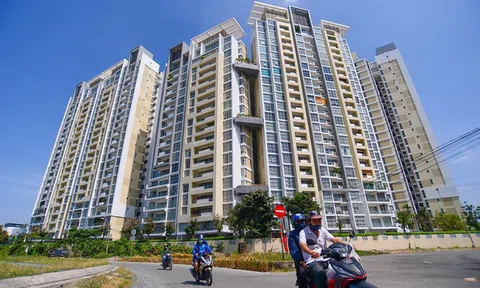 Nhu cầu căn hộ cho thuê đang tăng trở lại