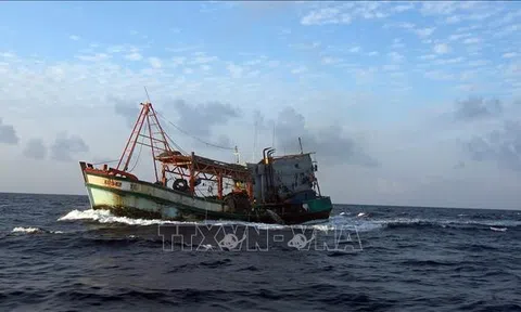 Kiên Giang cơ bản hoàn thành lắp đặt thiết bị giám sát hành trình tàu cá