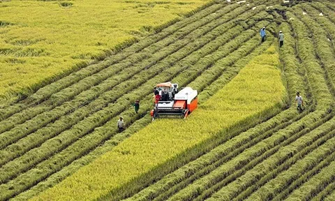 Công bố Chiến lược phát triển nông nghiệp và nông thôn bền vững