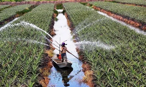 Lạng Sơn thu hút đầu tư trong lĩnh vực nông nghiệp