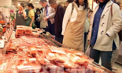 Lạm phát ở Nhật Bản chỉ tăng 0,2% bất chấp giá nhiên liệu tăng cao