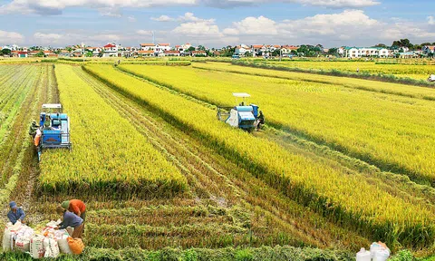 Trà Vinh ưu tiên hỗ trợ doanh nghiệp sản xuất, chế biến nông sản