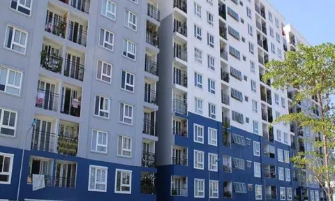 Không buông lỏng quản lý trong phát triển