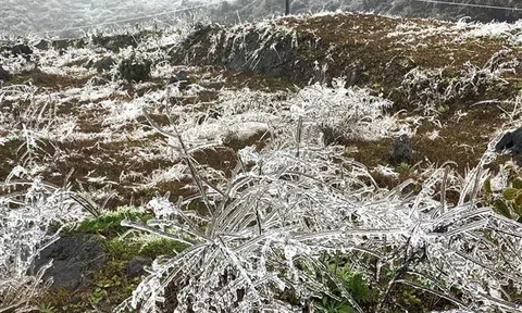 Xuất hiện bằng giá ở Cao Nguyên đá Đồng Văn do nhiệt độ thấp kỷ lục