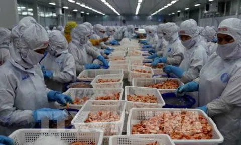 Bộ Công Thương giám sát thị trường, xử lý vi phạm cạnh tranh