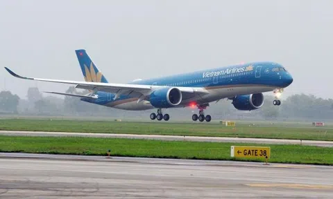 Hành khách theo dõi lịch bay thường xuyên khi sân bay cải tạo đường cất hạ cánh