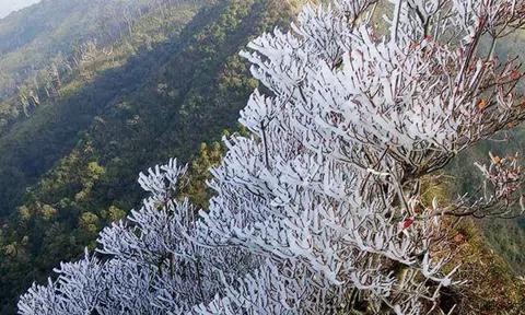 Băng giá xuất hiện nhiều nơi ở các huyện vùng cao Trạm Tấu và Mù Cang Chải