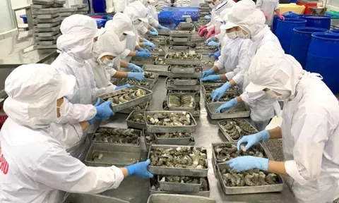 Bạc Liêu mở rộng thị trường xuất khẩu các sản phẩm nông nghiệp, thủy sản