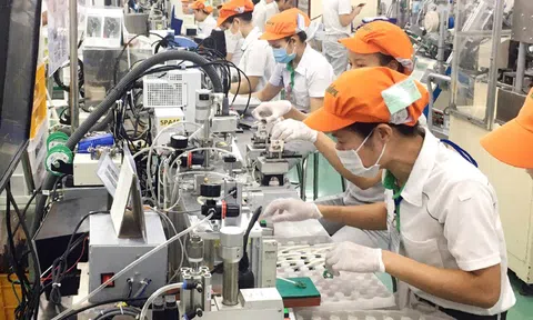 Tp.Hồ Chí Minh: Triển khai nhiều giải pháp cải thiện môi trường đầu tư, hỗ trợ doanh nghiệp