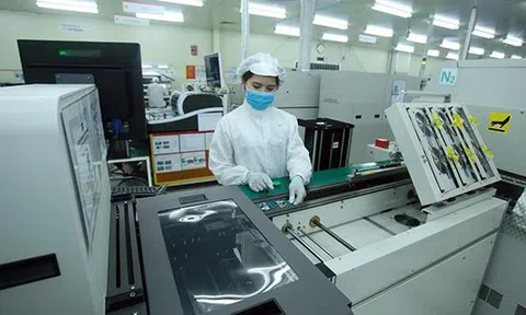 Thương mại song phương giữa Việt Nam và Ấn Độ vượt mốc 13 tỷ USD