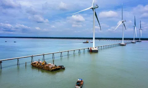 Trà Vinh: Xây dựng thêm bốn công trình điện gió vào cuối năm 2022