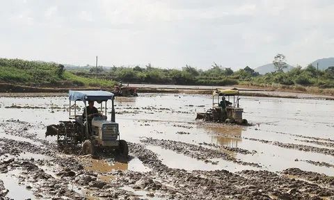 Đắk Lắk chủ động nguồn nước sản xuất vụ Đông Xuân