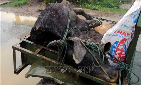 Không chủ quan với thời tiết giá rét