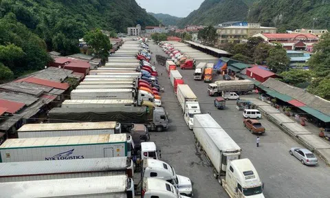 Lạng Sơn quyết định tiếp tục tạm dừng tiếp nhận phương tiện chở hoa quả tươi lên cửa khẩu