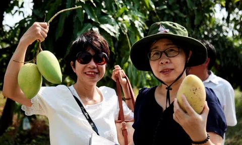 Kiên Giang: Nâng tầm sản phẩm OCOP